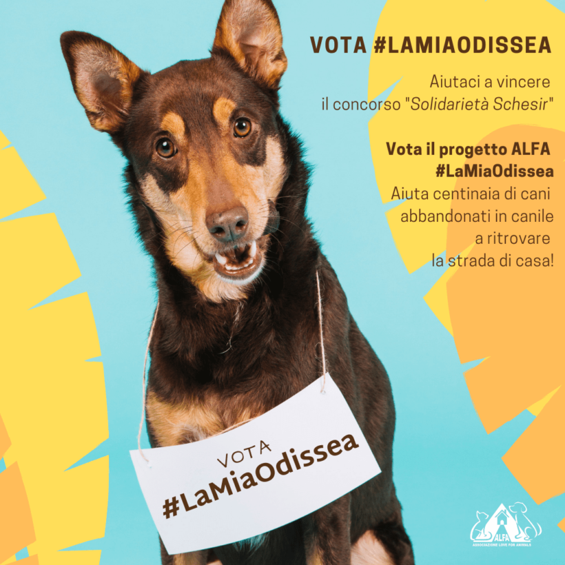 Vota il progetto #LaMiaOdissea