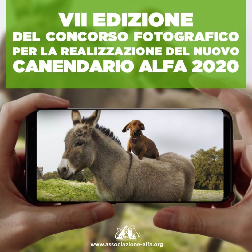 CANENDARIO 2020: VII Edizione del concorso fotografico