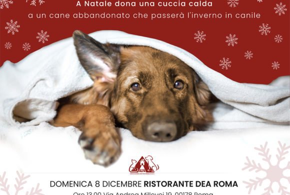 Roma, 8 dicembre: Pranzo di beneficenza