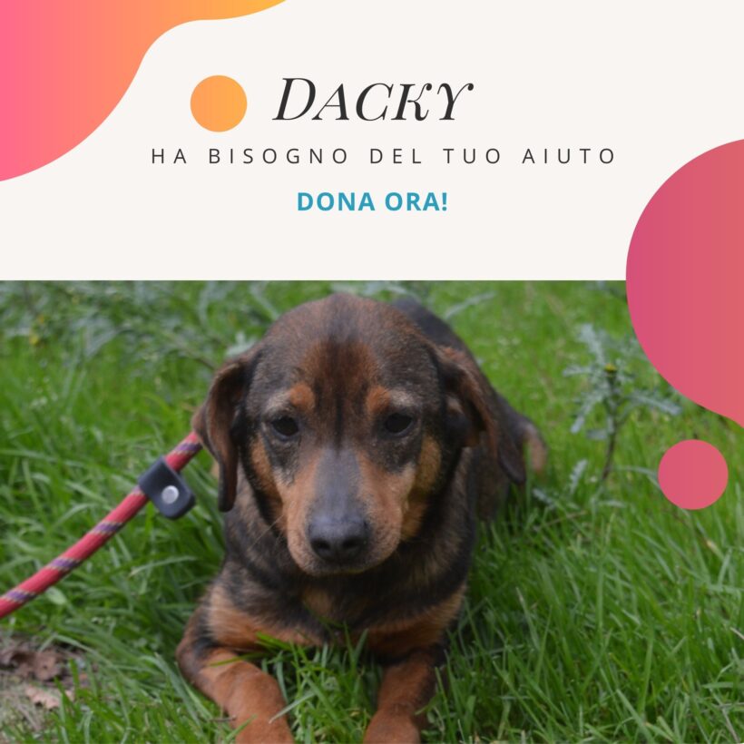 Il piccolo Dacky e la Leishmania