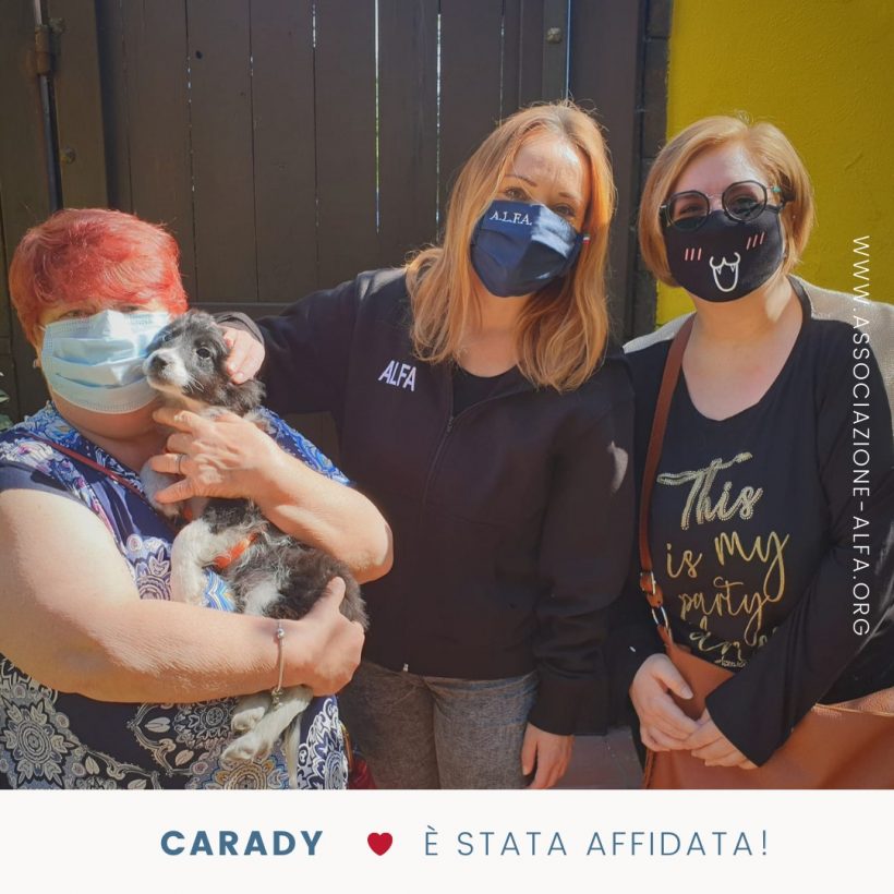 Una casa per Carady