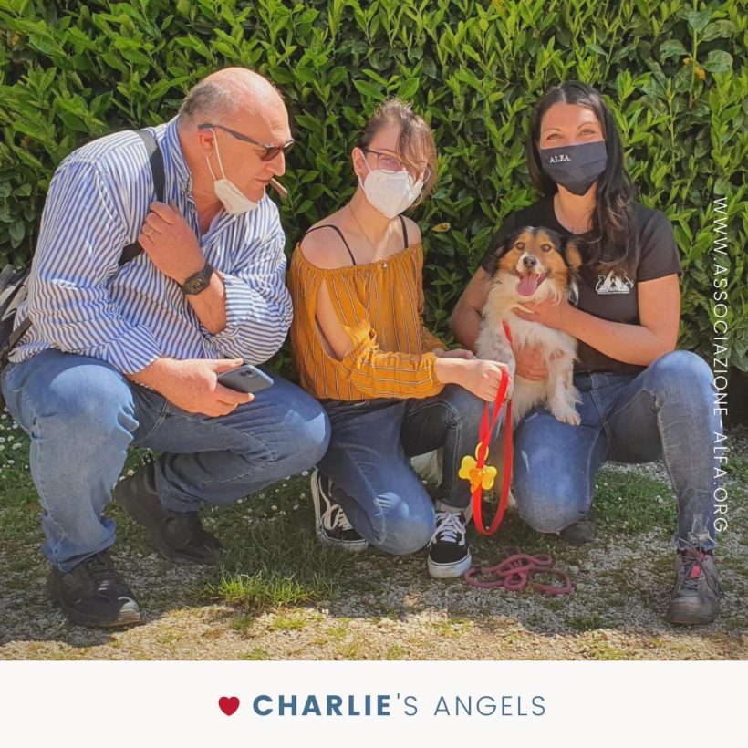 Una famiglia per Charlie!