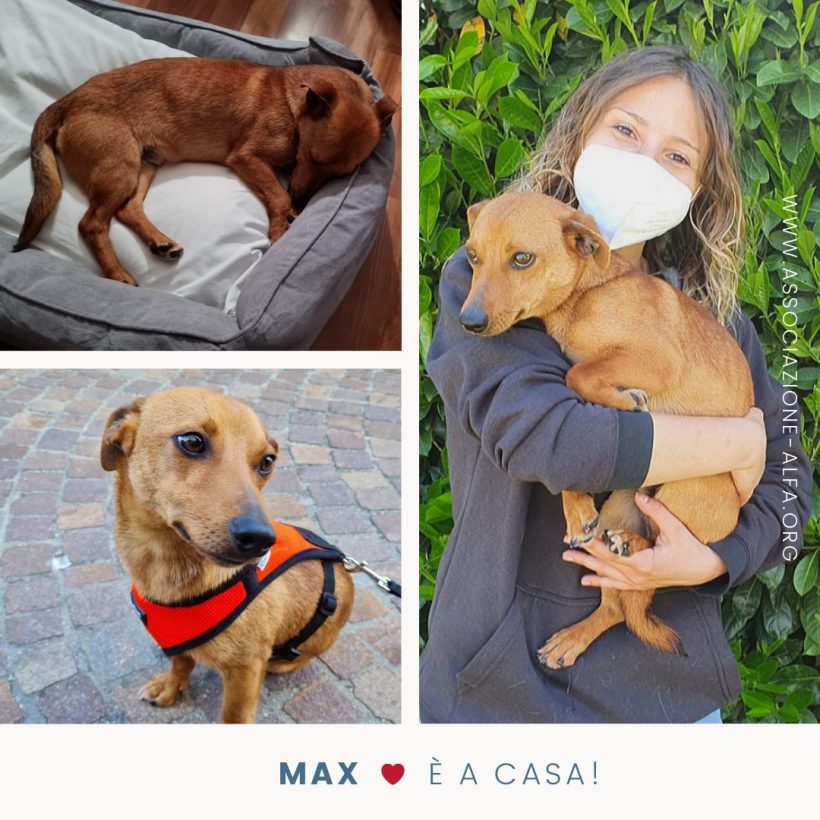 Max ora è felice!