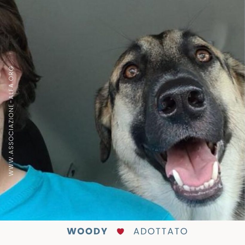 Woody da due anni a casa