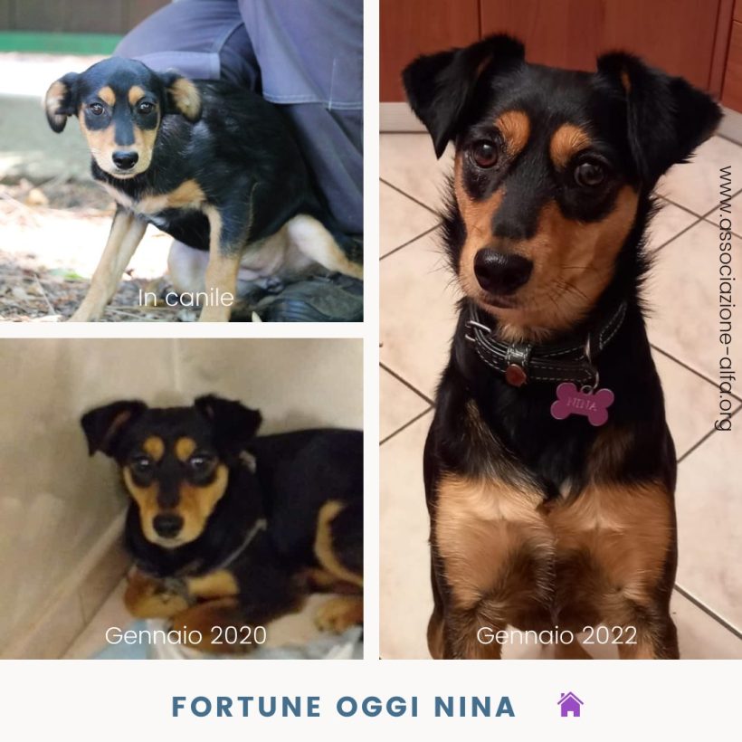 Fortune oggi Nina