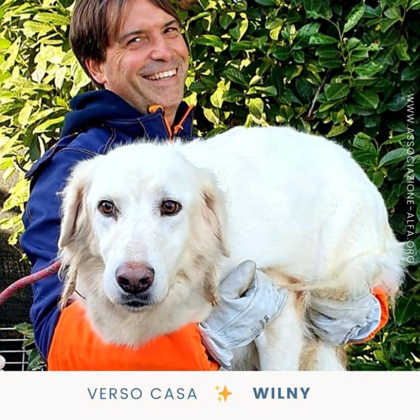 Mai più canile per Wilny