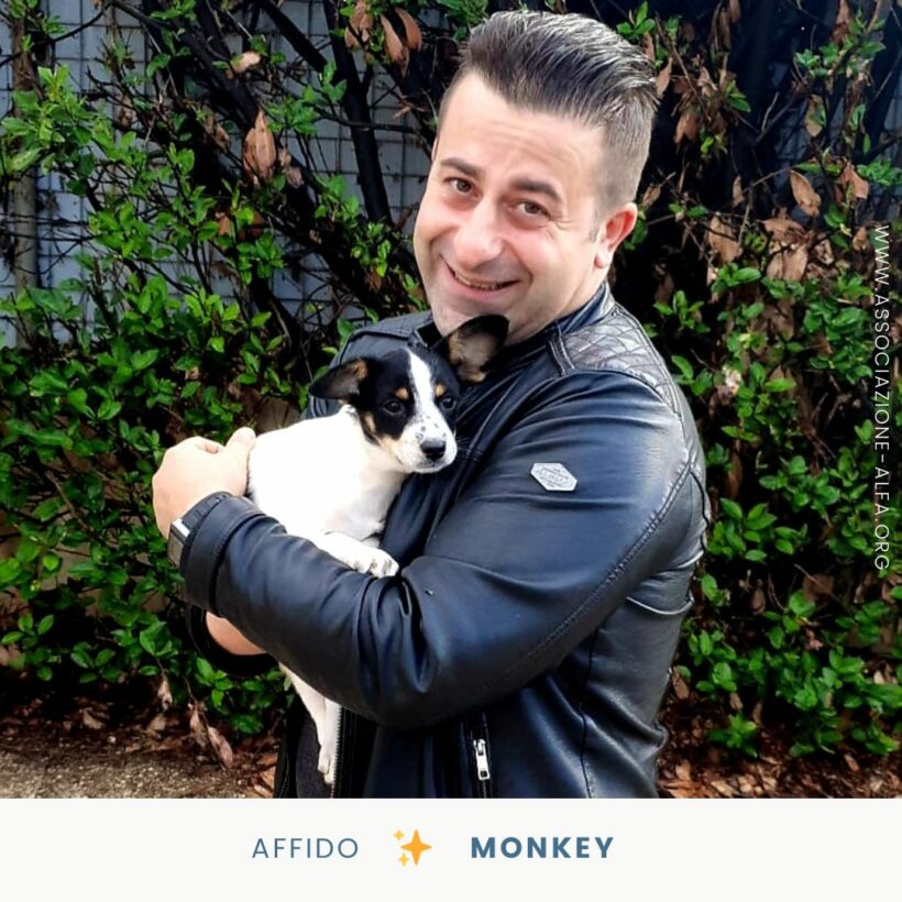 Monkey, oggi Alvin e la sua nuova famiglia