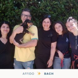 Bach è finalmente a casa