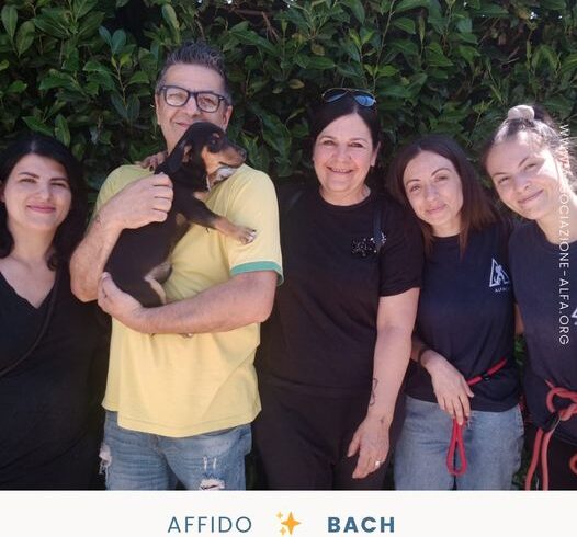 Bach è finalmente a casa