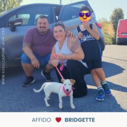 Bridgette ha trovato una famiglia!